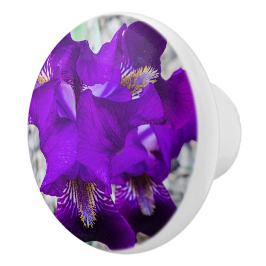 美しい紫色の虹彩 セラミックノブ (右)