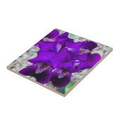 美しい紫色の虹彩 タイル (側面)