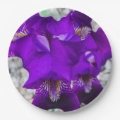 美しい紫色の虹彩 ペーパープレート (正面)