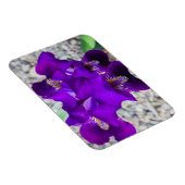 美しい紫色の虹彩 マグネット (右側)