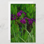 美しい紫色の虹彩 便箋 (正面/裏面)