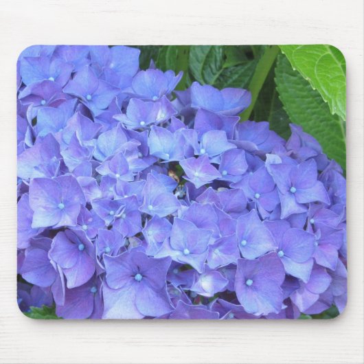 美しい紫陽花 マウスパッド (正面)