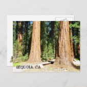 美しい続編はがき! ポストカード (正面/裏面)