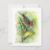 美しい緋色のタナガーカップルのノートカード (正面)