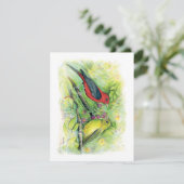 美しい緋色のタナガーカップルのノートカード (スタンド正面)