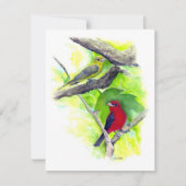 美しい緋色のタナガーカップルのノートカード (正面)