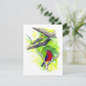 美しい緋色のタナガーカップルのノートカード (スタンド正面)