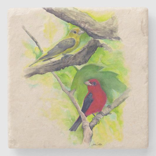 美しい緋色のタネージャ絵画ズ ストーンコースター (正面)