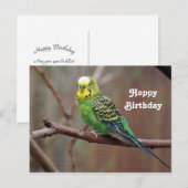 美しい緑のインコの写真の誕生日 ポストカード (正面/裏面)