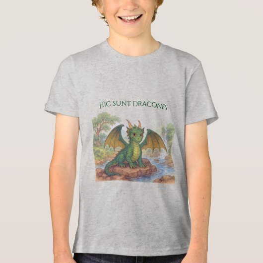 美しい緑のドラゴン トライブレンドTシャツ (正面)