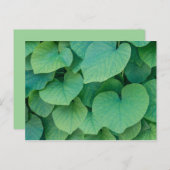美しい緑のハート葉型自然写真 ポストカード (正面/裏面)
