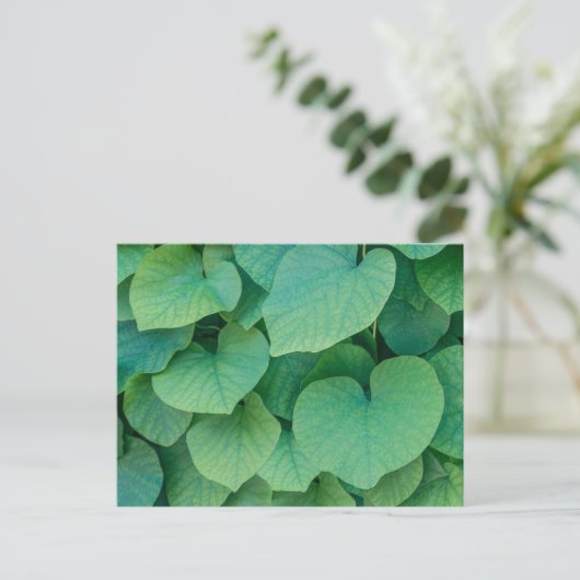 美しい緑のハート葉型自然写真 ポストカード (スタンド正面)