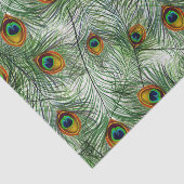 美しい緑の孔雀の羽 薄葉紙 (詳細)