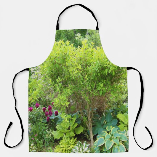 美しい緑の庭園風景とホスト エプロン (正面)