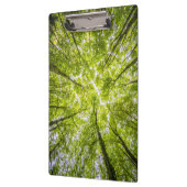 美しい緑の森 クリップボード (左)