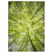 美しい緑の森 クリップボード (裏面)