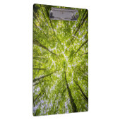 美しい緑の森 クリップボード (右)