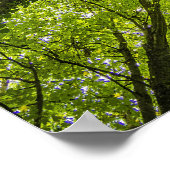 美しい緑の森 ポスター (角)