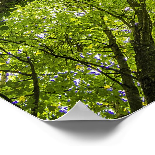 美しい緑の森 ポスター (角)