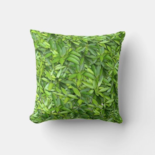 美しい緑の葉   クッション (正面)
