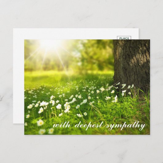 美しい緑の谷と白い花悔やみや弔慰 ポストカード (正面/裏面)