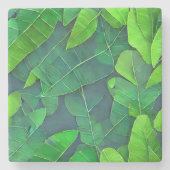 美しい緑葉の模様 ストーンコースター (正面)