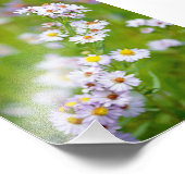 美しい線の写真 フォトプリント            (角)