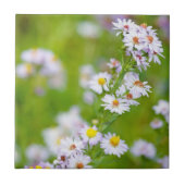 美しい線タイル タイル (正面)