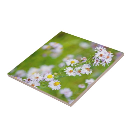 美しい線タイル タイル (側面)