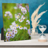 美しい線粥腫 フォトプラーク (側面)