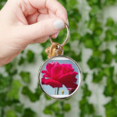 美しい美しい天体バラ赤と青 キーホルダー (手)