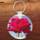 美しい美しい天体バラ赤と青 キーホルダー (正面)