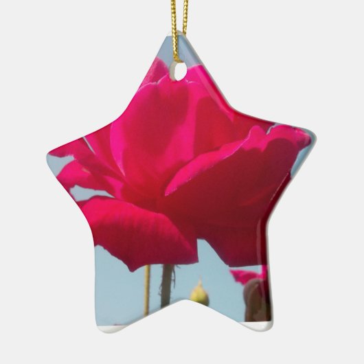 美しい美しい天体バラ赤と青 セラミックオーナメント (左)