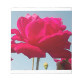 美しい美しい天体バラ赤と青 ノートパッド (正面)