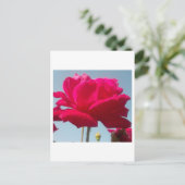 美しい美しい天体バラ赤と青 ポストカード (スタンド正面)