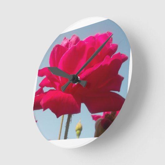 美しい美しい天体バラ赤と青 ラウンド壁時計 (傾斜)