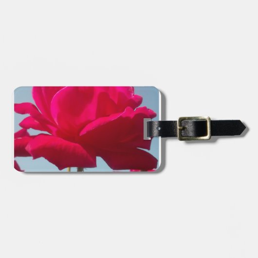 美しい美しい天体バラ赤と青 ラゲッジタグ (正面横)