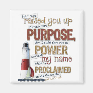 美しい聖なる書物、 経典磁石の出エジプト9:16 マグネット