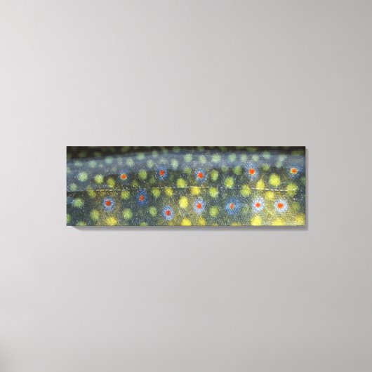 美しい肌とヨルダン川ブルッキー» キャンバスプリント (正面)