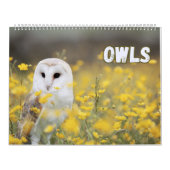 美しい自然と森の風景が広がるフクロウ カレンダー (カバー)