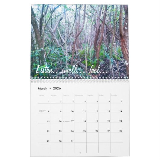 美しい自然の写真の感動的なカレンダー カレンダー (3月 2026)