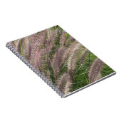 美しい自然の写真、パンパスグラス – ジャーナル (右側)