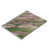 美しい自然の写真、パンパスグラス – ジャーナル (左側)