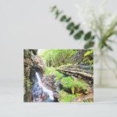 美しい自然の滝の風景NHはがき ポストカード (スタンド正面)