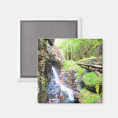 美しい自然の滝の風景NHマグネット マグネット (正面/裏面)