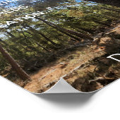 美しい自然の聖なる書物、 経典 ポスター (角)