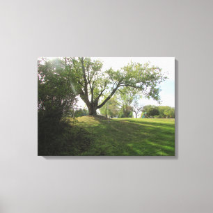 美しい自然の風景 木々の写真芸術 キャンバスプリント