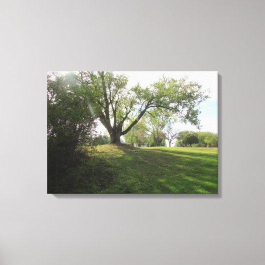 美しい自然の風景 木々の写真芸術 キャンバスプリント (正面)