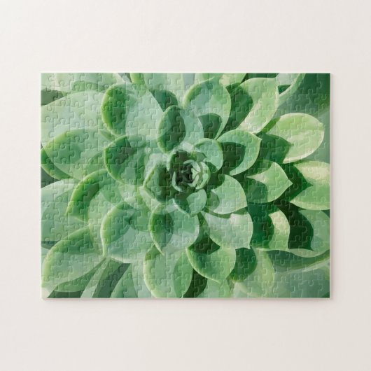 美しい自然テーマパズル ジグソーパズル (横)