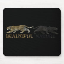 美しい自然ヒョウ